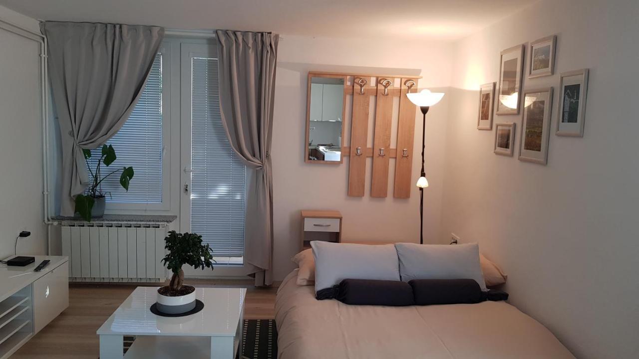 Koradinovi - Pod Vrtom Apartment Vipava Exterior foto